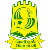 Al-Seeb
