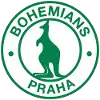 Bohemians 1905