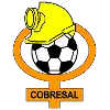 Cobresal logo