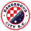 Dandenong City SC