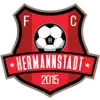 Hermannstadt logo