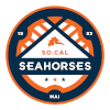 Hippocampus of southern California
