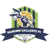 Marumo Gallants FC