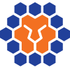 Queensland Lions SC logo