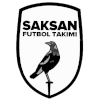 Saxan logo