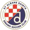 St Albans Saints