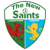The New Saints