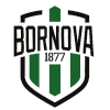 Viven Bornova logo