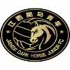 Wenzhou Professional Football Club