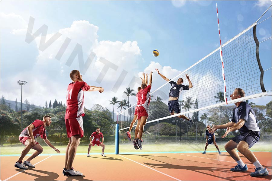 Which sports is most popular in the world: Volleyball