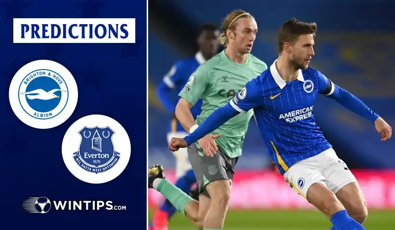 Brighton Hove Albion vs Everton Predictions