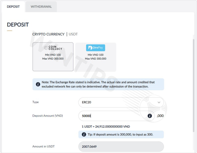 Select the type of cryptocurrency wallet and enter the amount to deposit