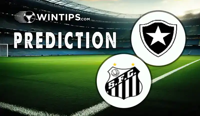 Botafogo RJ vs Santos Predictions