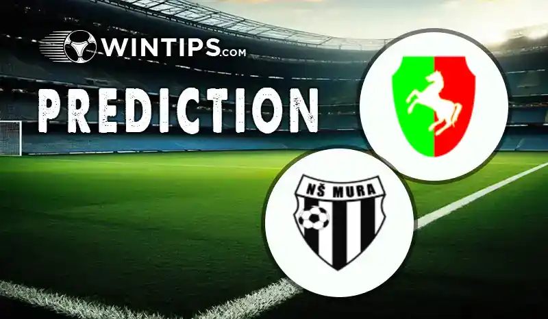 Dravinja vs NK Mura 05 Predictions