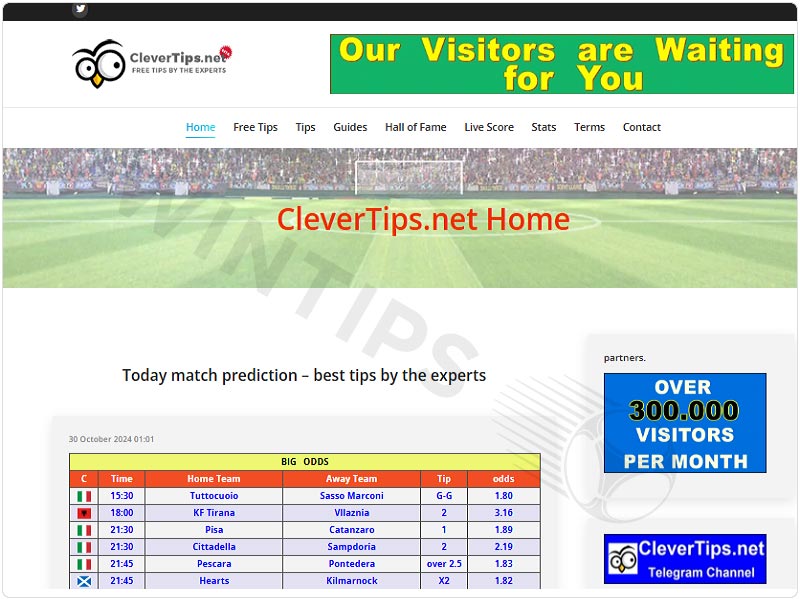 Clevertips tips website interface review