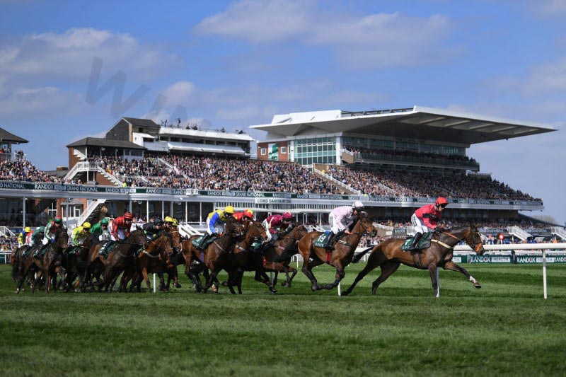 Horse racing betting systems help players win easily