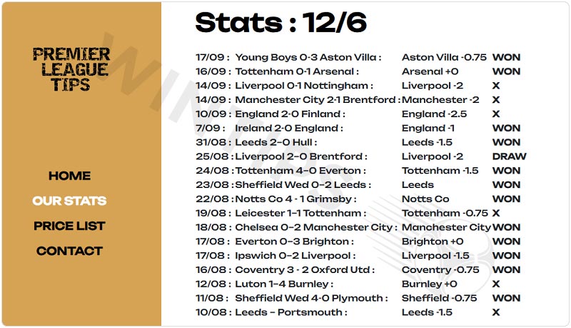 Quality football tips on Premierleaguetips