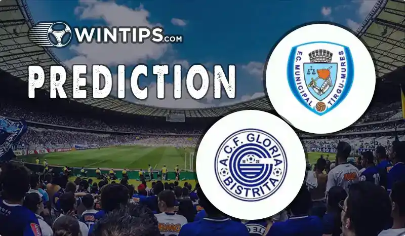 FCM Targu Mures vs FC Gloria Bistrita Predictions