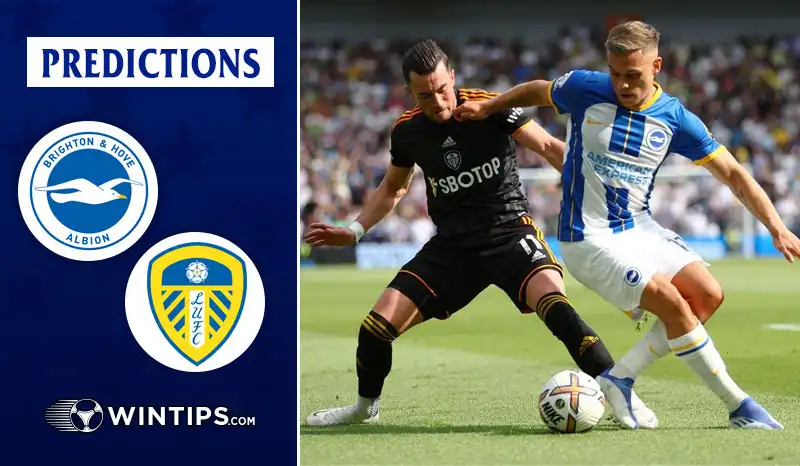 Brighton Hove Albion vs Leeds United Predictions