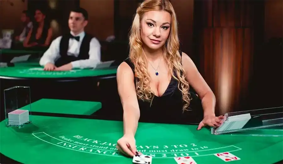 Live casino Blackjack card counting environment