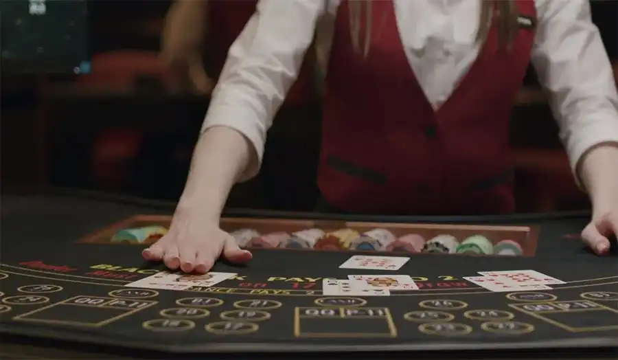 Blackjack table with dealer showing common Blackjack terminology