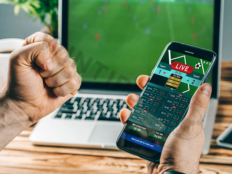 What is the best sports betting app for beginners