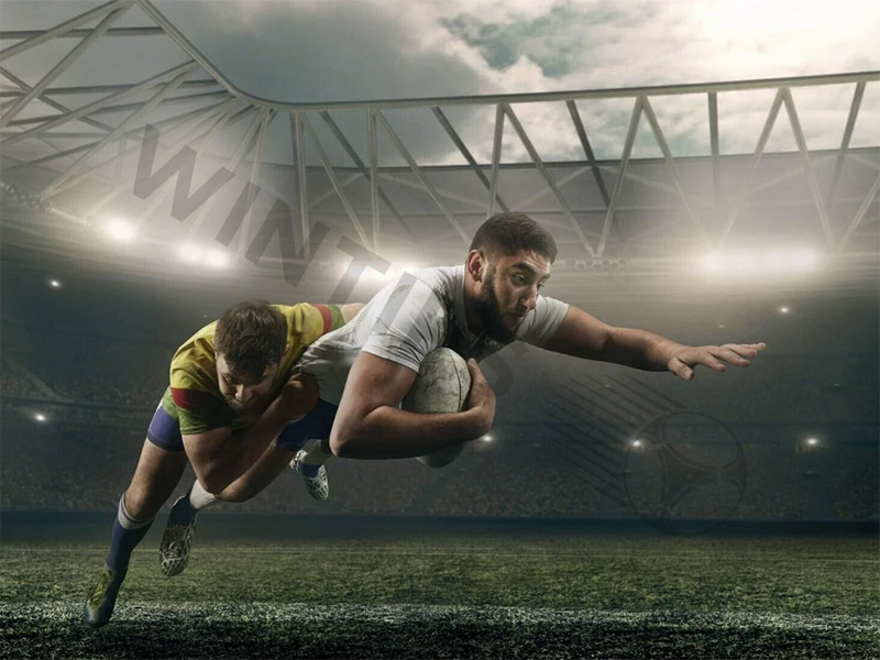 Rugby betting tips easy win for newbies