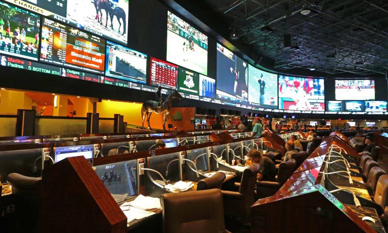 A licensed bookmaker is an organization authorized to facilitate legal sports betting