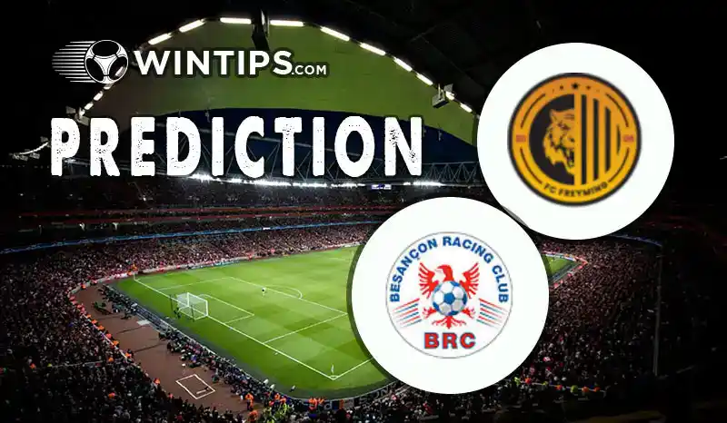 Freyming vs Besancon Predictions
