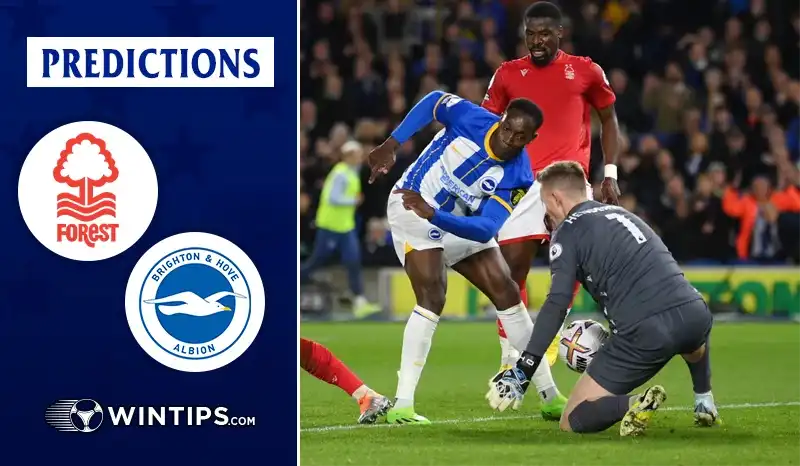 Nottingham Forest vs Brighton Hove Albion Predictions