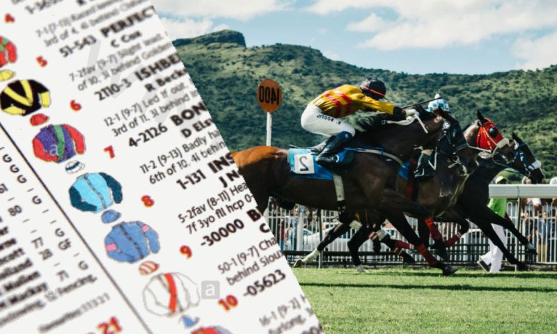 The next best horse betting tips is analyze a horse’s track record