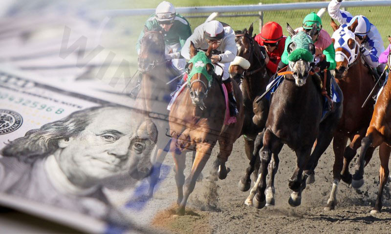 Avoid overbetting is among the best betting on the horses tips