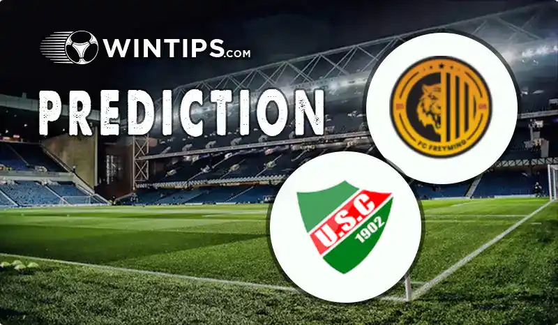 Freyming vs Chantilly Predictions