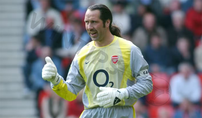 Best goal save ever in football history: David Seaman vs Sheffield United (2003)