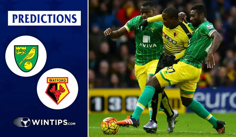 Norwich City vs Watford Predictions