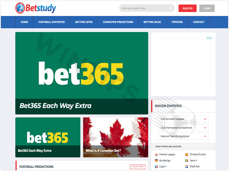 Betstudy.com website interface review