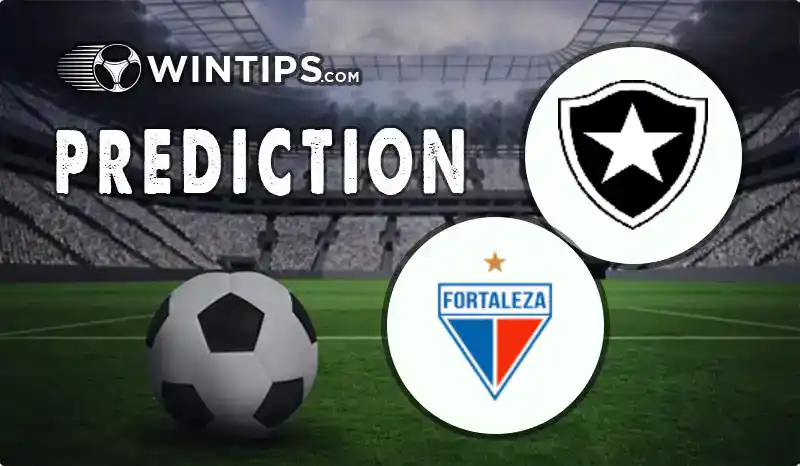 Botafogo RJ vs Fortaleza Predictions