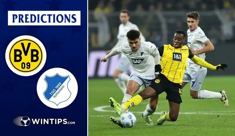 Borussia Dortmund vs TSG Hoffenheim Predictions