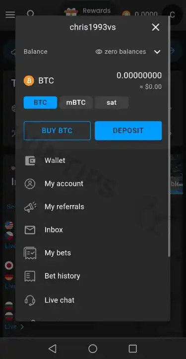 Locate the ‘Wallet’ option