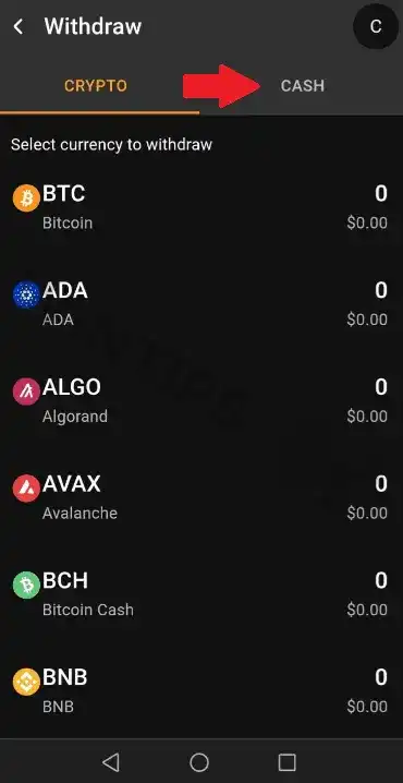 withdraw using fiat methods