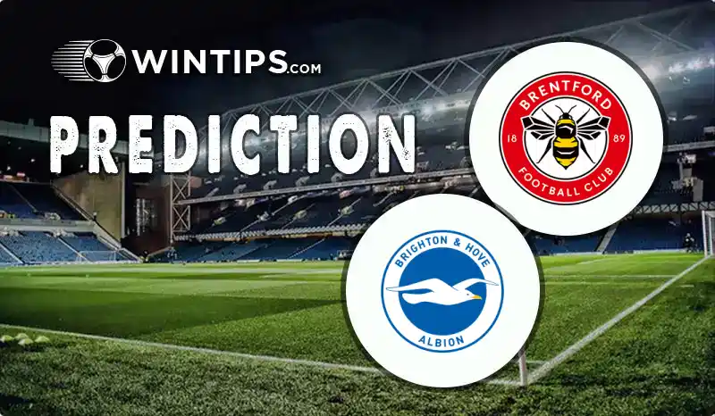 Brentford vs Brighton Hove Albion Predictions