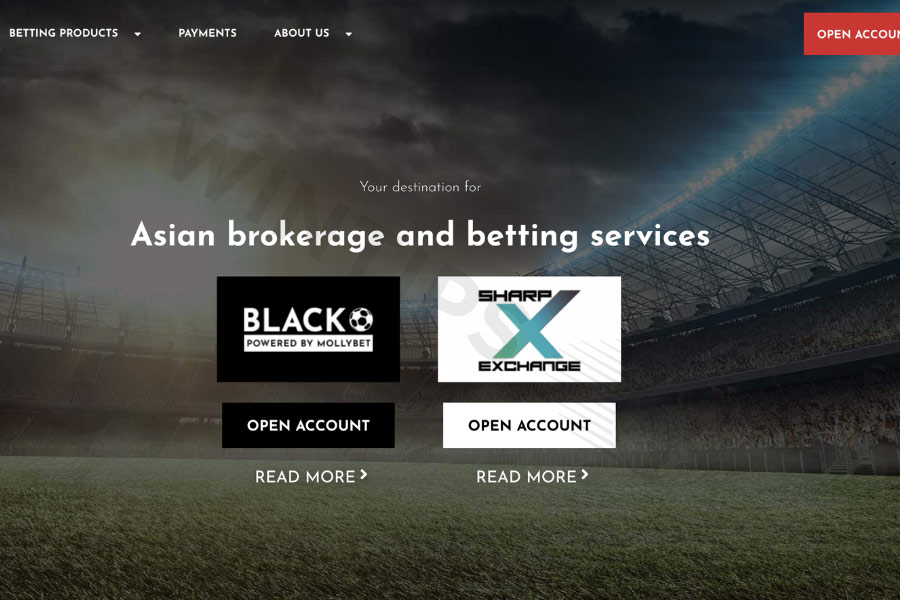 BetinAsia is a premier betting broker that grants users access to multiple Asian bookmakers