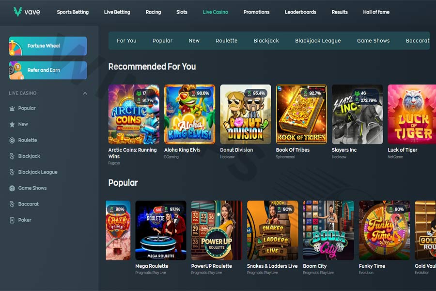 Vave's online casino provides an engaging experience for both casual and serious gamblers