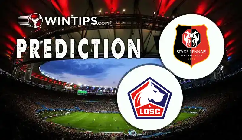 Rennes vs Lille Predictions