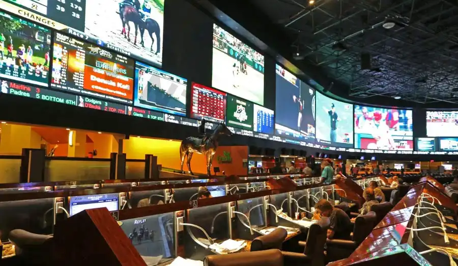 Among the sports available for betting in Greece, football and basketball are the most popular