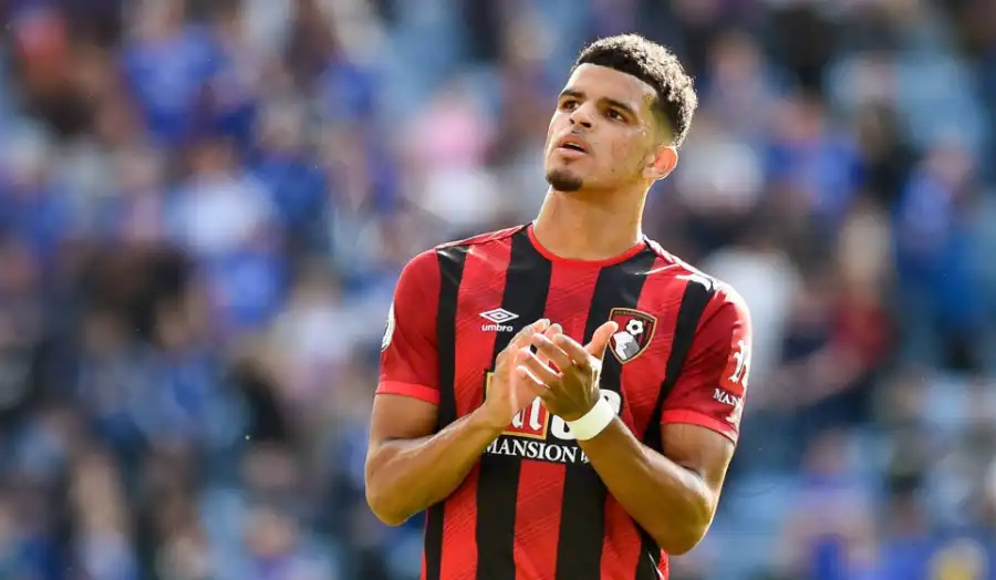 In the 2020/21 and 2021/22 seasons, Solanke found his rhythm, scoring 44 goals in two seasons and helping the Cherries earn promotion back to the Premier League