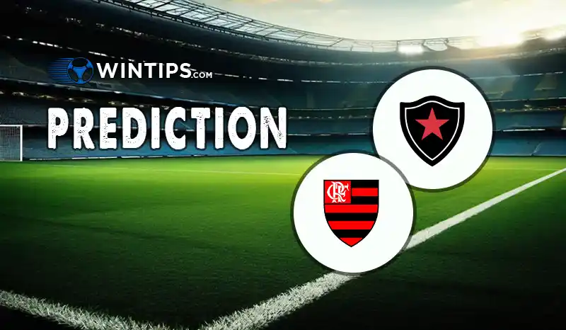 Botafogo PB vs Flamengo Predictions