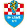 HNK Vukovar 91 logo