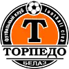 Zhodino logo