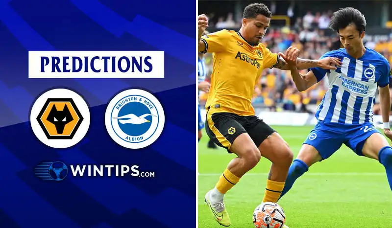 Wolves vs Brighton Hove Albion Predictions